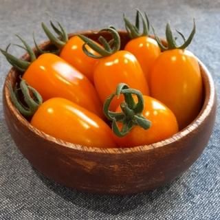 プロ向け トマト - トキタオンラインショップ