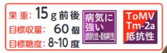 チアちゃん】ミニトマト小袋(8粒) - トキタオンラインショップ チアちゃん】ミニトマト小袋(8粒) - トキタオンラインショップ
