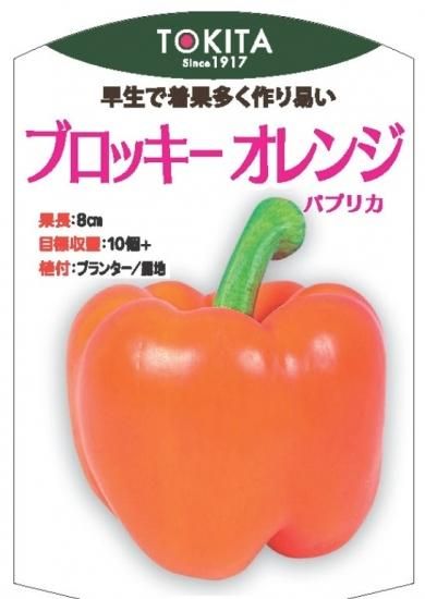 グンネル サーリン \"フルッテリアシリーズ \" ブドウとレッドパプリカ グンネル サーリン 