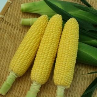 野菜 HIDEKI6712 カット野菜の紹介 | 株式会社ベジテック