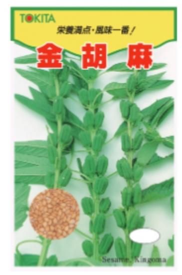 金胡麻】ゴマ小袋(約5ml) / 20ml - トキタオンラインショップ 金胡麻】ゴマ小袋(約5ml) / 20ml - トキタオンラインショップ