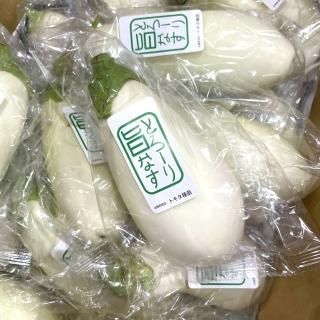 【人気種子】まとめ売り 5117vJoZqML._UF1000,1000_QL80_.jpg
