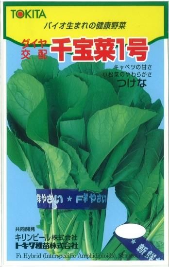 こまつ菜ページ トーホク コマツナ 早生こまつなあおいの通販｜ホームセンター