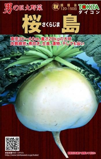 桜島大根】ダイコン8ml/約300粒 - トキタオンラインショップ
