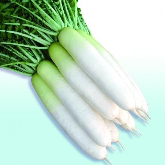 楽天市場】おでん・鍋用大根 輪切り4個 野菜の旨みを残した下