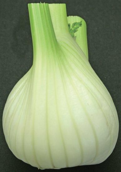 人気の春夏 ナポリ】フェンネル 小袋（80粒）/ トキタオンライン - 200粒 野菜