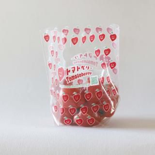 Ĳ̽вѡޡۥȥޥȥ٥꡼<br>ʵʡ100