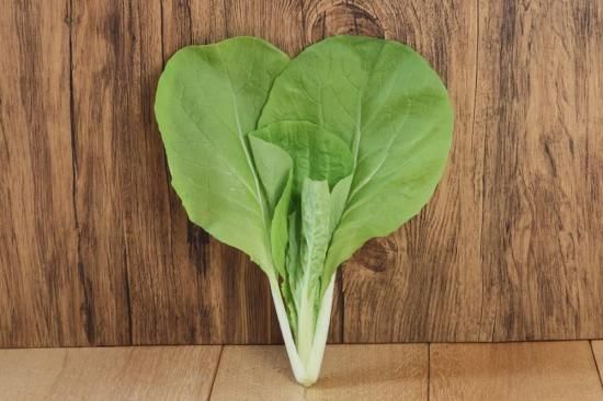 灼熱サラダ菜っぱ】サントウサイ 20ml /2dl /1L - トキタオンライン