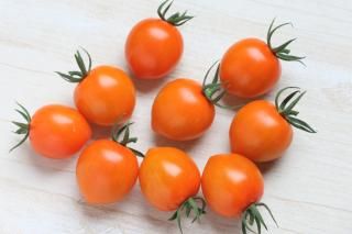 ڥȥޥȥ٥꡼󥸡ۥߥ˥ȥޥ<br>(5γ) /100γ