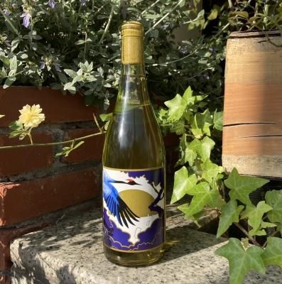 Amfora Koshu 2019