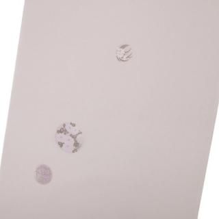 桡쥷åʪִʸ107-0205