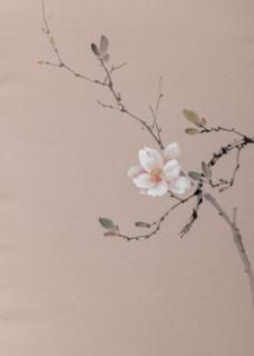 ̾Ųӡܻͧʽ롡117-0011