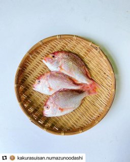 【静岡の魚と塩だけ定期購入】３カ月