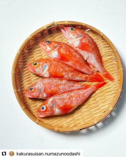 【静岡の魚と塩だけ定期購入】5カ月