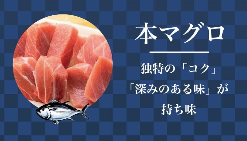 冷凍マグロ専門店 海生水産