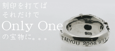 SV925ץʻž夲ۥ٥ӡ    ץߥࡦ奨꡼/crown(饦)᡼