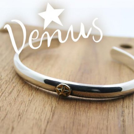 С&K18֥쥹å ôݥץ졼  Venus Х󥰥  silver925ᥤ