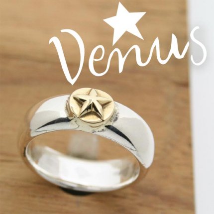 С&(18K) ôݥץ졼 Venus إᥤ