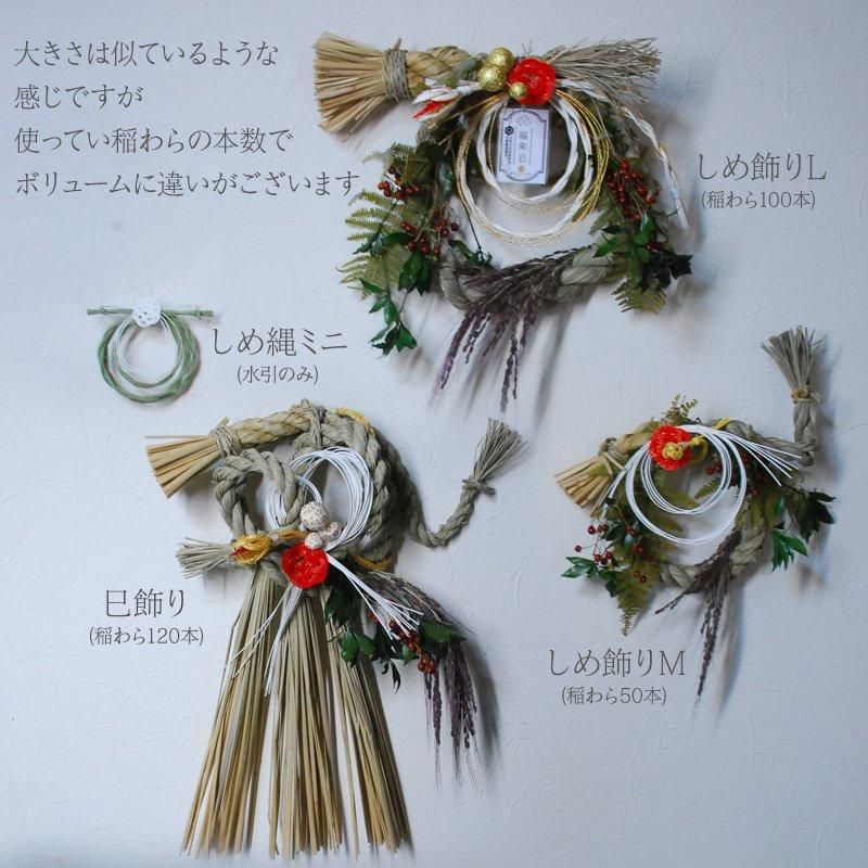 <img class='new_mark_img1' src='https://img.shop-pro.jp/img/new/icons1.gif' style='border:none;display:inline;margin:0px;padding:0px;width:auto;' />  M 2025ǯ ̦ǯ   񻺰 񻺿 ᡼