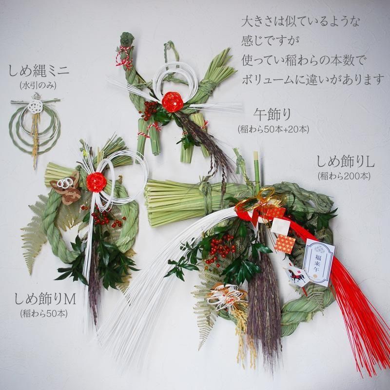 <img class='new_mark_img1' src='https://img.shop-pro.jp/img/new/icons1.gif' style='border:none;display:inline;margin:0px;padding:0px;width:auto;' />  2026ǯ ǯ ߥ   񻺿 񻺰𥤥᡼