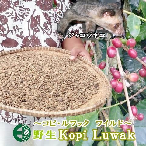 Amazon | スマトラ産 コピルアック 焙煎 コーヒー豆 KOPI LUWAK