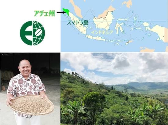 珈琲 コピルアク・ワイルド 中煎り（原産国：インドネシア