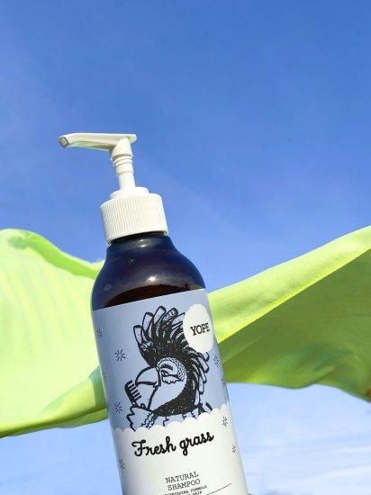 シャンプー natsu エス シャンプー 290ML – DENIS toB