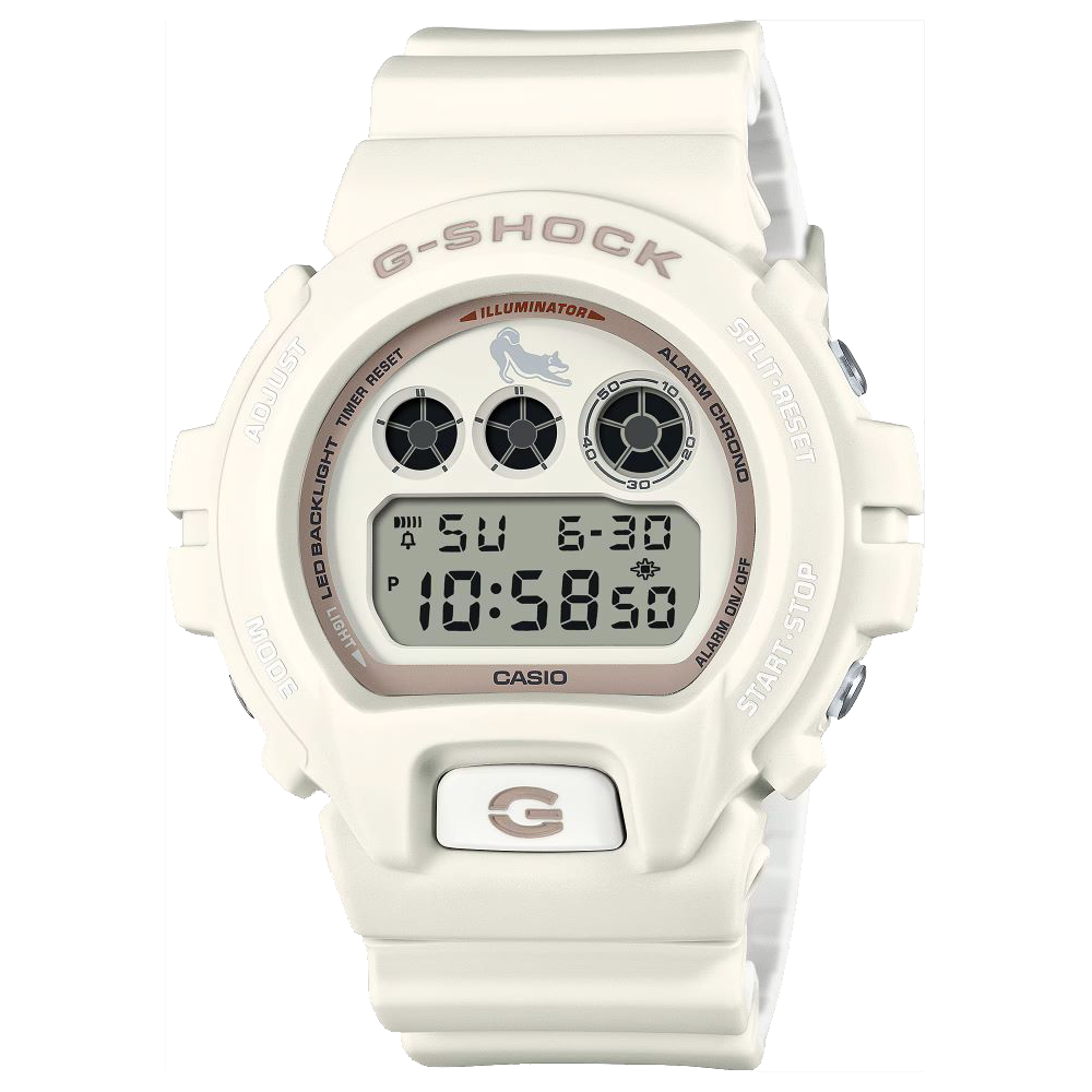 CASIO カシオ DW-6900SHB-7JR G-SHOCK DW-6900SHB-7JR（6900