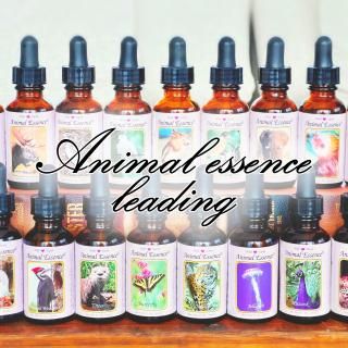 <img class='new_mark_img1' src='https://img.shop-pro.jp/img/new/icons14.gif' style='border:none;display:inline;margin:0px;padding:0px;width:auto;' />Reina˥ޥ륨å󥹥꡼ǥ