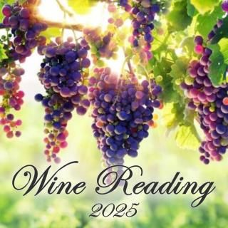 Reina磻꡼ǥ󥰥å 2025
