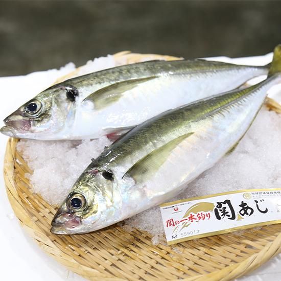 大分県漁業協同組合 佐賀関支店