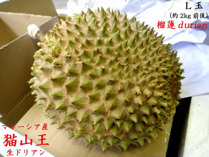 Amazon.co.jp: タイ産 ドリアン 生鮮 フレッシュ フルーツ 榴蓮