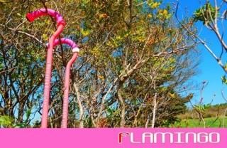 FLAMINGOʥեߥ󥴡ˡ١