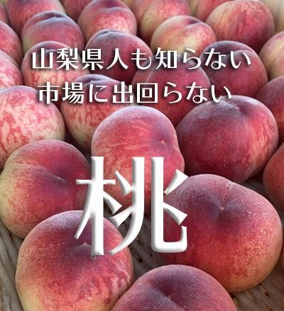 山梨の甘い桃　特大サイズを6個詰めて発送 料金据え置き　ももやのきよし 山梨県一宮の甘い桃 特大サイズを6個詰めて発送 終了間近