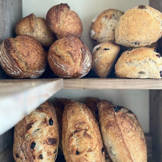 定期便】ハード系パンセット - 葉山の自家製天然酵母パンとドーナツ