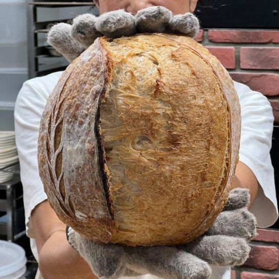 定期便】ハード系パンセット - 葉山の自家製天然酵母パンとドーナツ