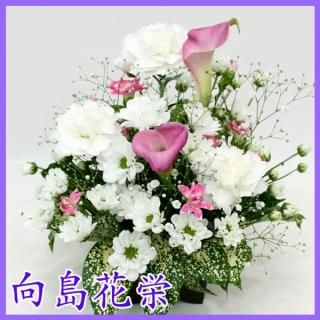 ڶ֡ۥ͡ȥ顼Τ󥸥