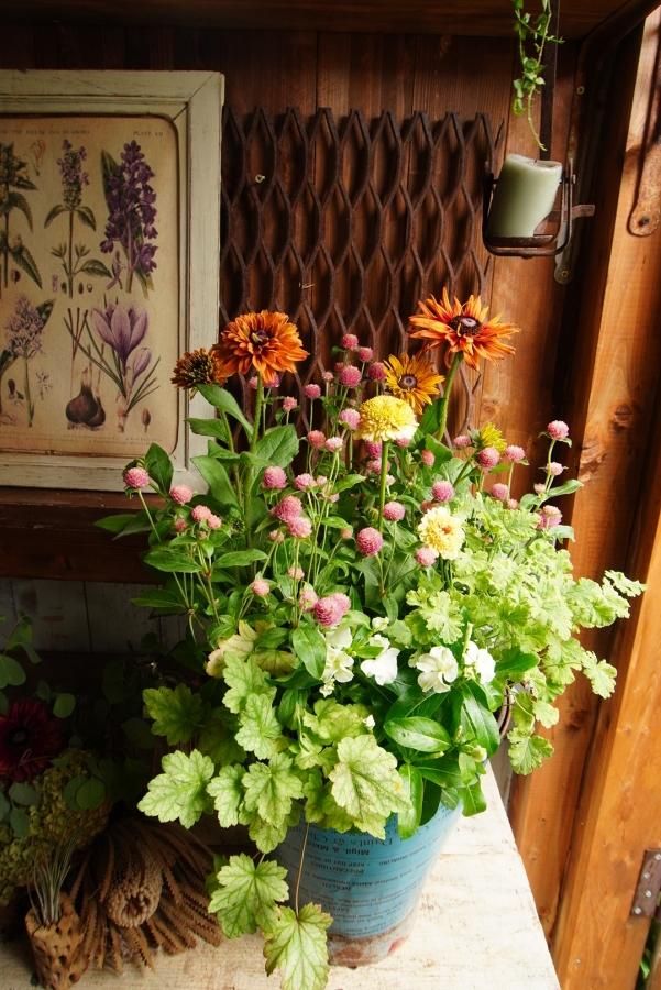 寄せ植え ルドベキアと多色mixのお花たち Fulujumo フルジュモ Web Shop 寄せ植え ルドベキアと多色mixのお花たち Fulujumo フルジュモ Web Shop
