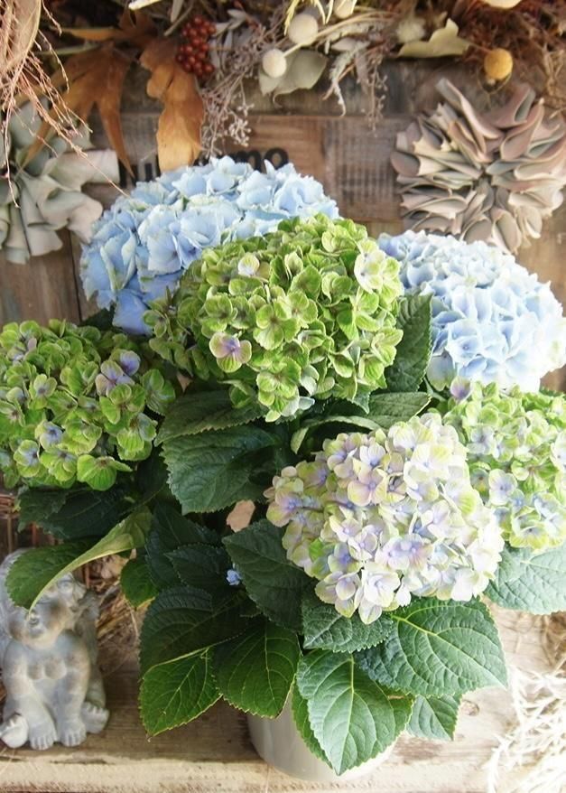 ʼڥޥ롦NO.3 10off