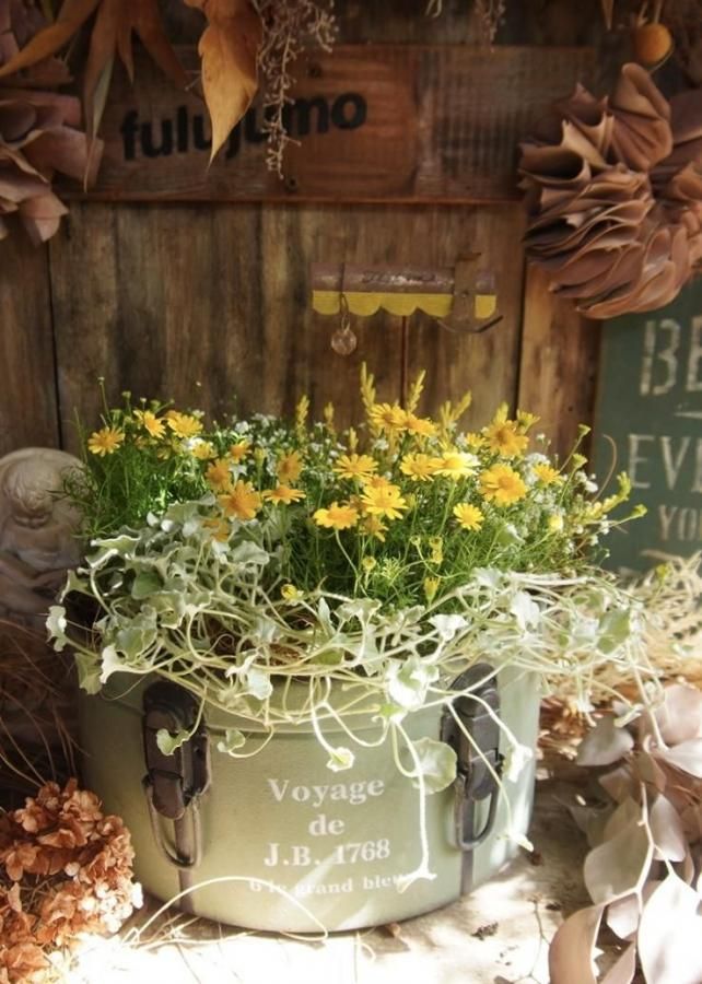 󤻿ʡڥ꡼֥ꥭ♡ۥ磻ȡ۴ղʡ1