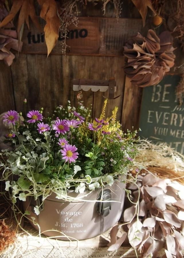 󤻿ʡڥ١֥ꥭ♡ԥ󥯥ۥ磻ȡ۴ղ