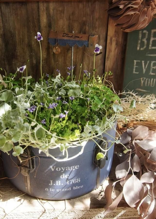 󤻿ʡڥ֥롼֥ꥭ♡֥롼ۥ磻ȡ۴ղ