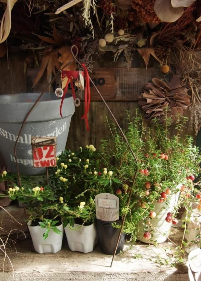 󤻿åȡڥƥ饳åtubutubu