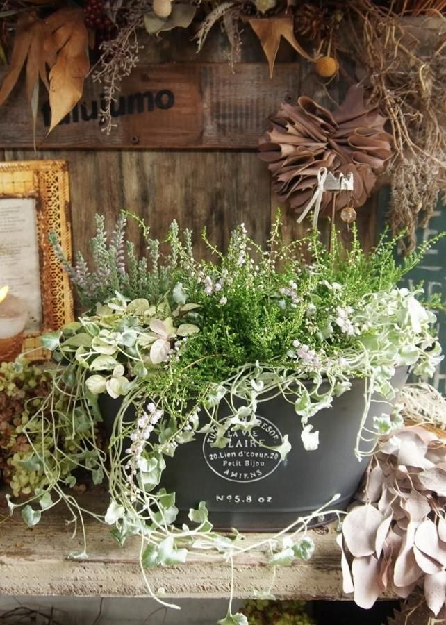 󤻿ʡڥ֥å֥ꥭ♡롼ʡ