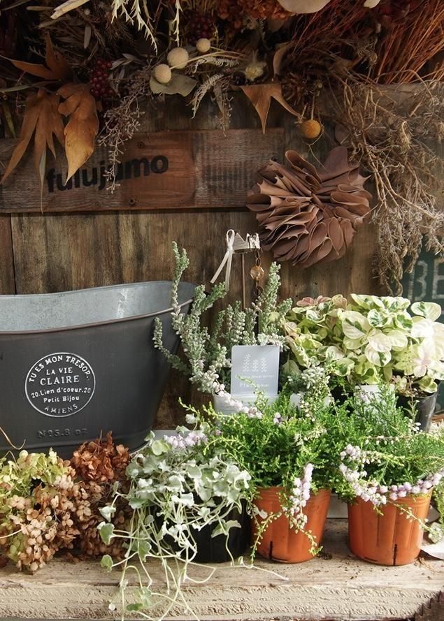 󤻿åȡڥ֥å֥ꥭ♡롼ʡ