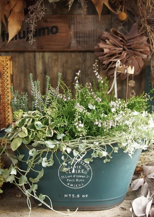 󤻿ʡڥ꡼֥ꥭ♡롼ʡ