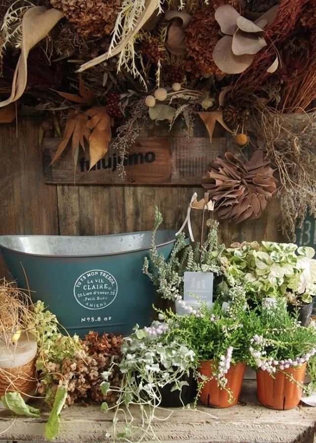 󤻿åȡڥ꡼֥ꥭ♡롼ʡ