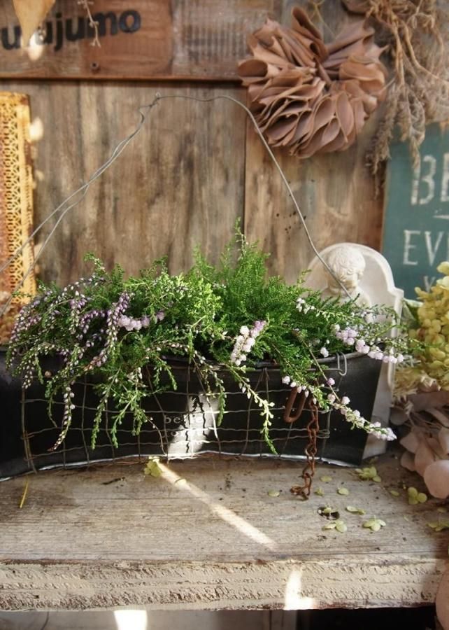 󤻿ʡڥᥤ֥ꥭ♡롼2