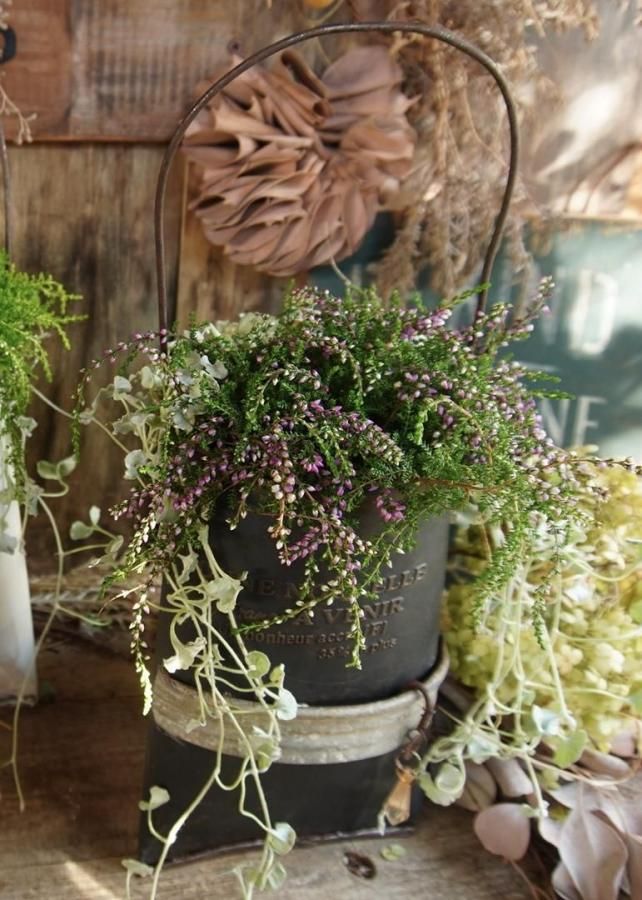 󤻿ʡڥᥤ֥ꥭBlack♡롼ʡ