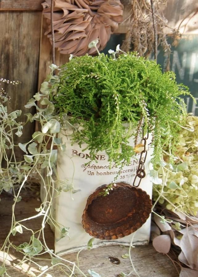 󤻿ʡڥᥤ֥ꥭWhite♡롼ʡ